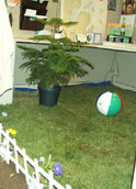 tree and lawn
